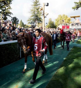 Qatar Prix de l'Arc de Triomphe - Brasserie Prestige 1