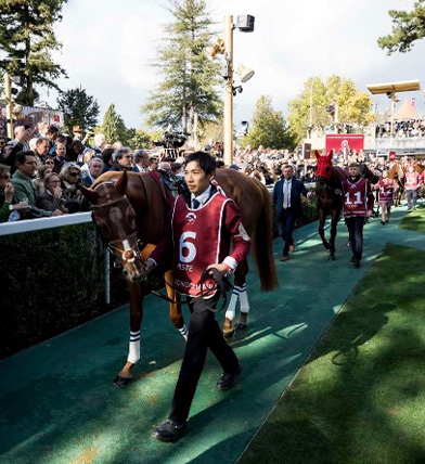 Qatar Prix de l'Arc de Triomphe - Brasserie Prestige 1