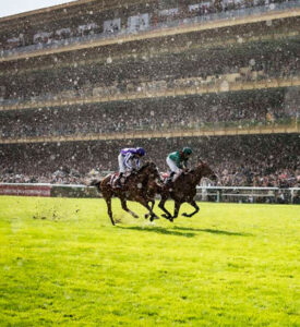 Qatar Prix de l'Arc de Triomphe - Platinum 3
