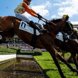 Les Jeuxdi By Longchamp