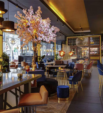 Rugby T6N27 - Angleterre v France