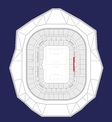 Groupama Stadium